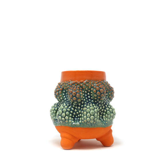 Urchin Cup